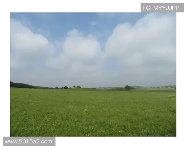 从天才少年到平凡人生的转折点与背后故事探寻 从天才少年到平凡人生的转折点与背后故事探寻